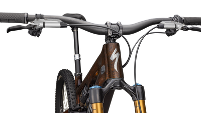 S-Works Turbo Levo SL 2