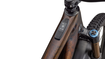 S-Works Turbo Levo SL 2