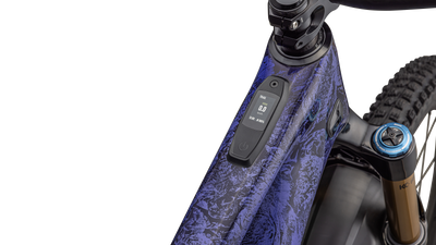 S-Works Turbo Levo SL 2