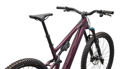 Turbo Levo SL 2 Expert