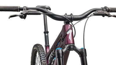 Turbo Levo SL 2 Expert