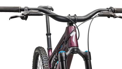 Turbo Levo SL 2 Expert