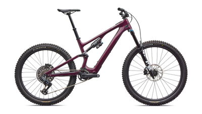 Turbo Levo SL 2 Expert