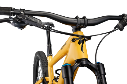 Turbo Kenevo SL Expert