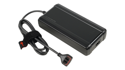 3.1 Standard Charger