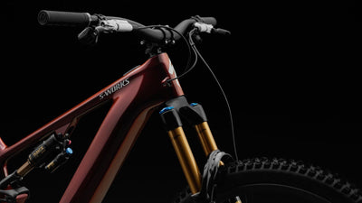 2026 S-Works Turbo Levo 4