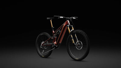 2026 S-Works Turbo Levo 4