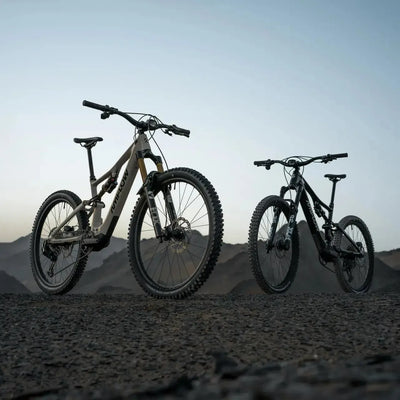 Amflow PX Carbon