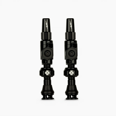 Big Bore Lite Tubeless Valves 