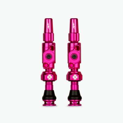 Big Bore Lite Tubeless Valves 