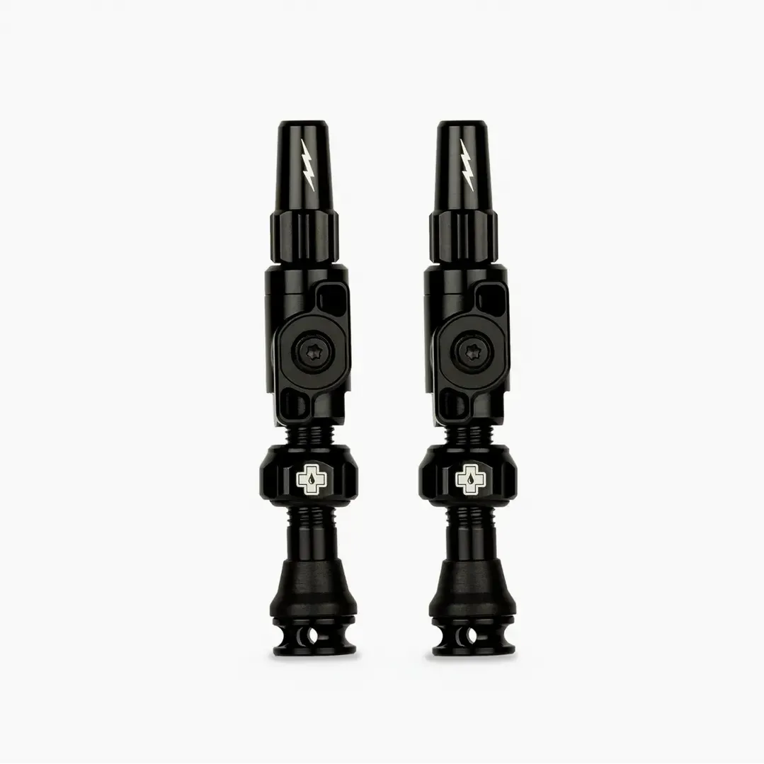Big Bore Lite Tubeless Valves 