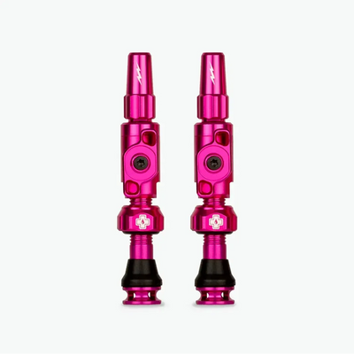 Big Bore Lite Tubeless Valves 