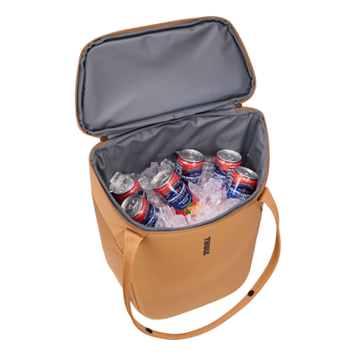 Chasm Cooler Bag with InLock 21L