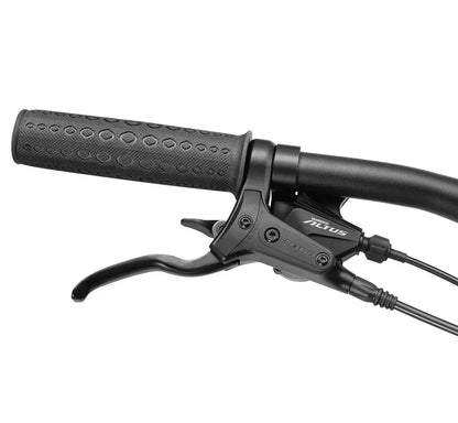 E-Street Step Through