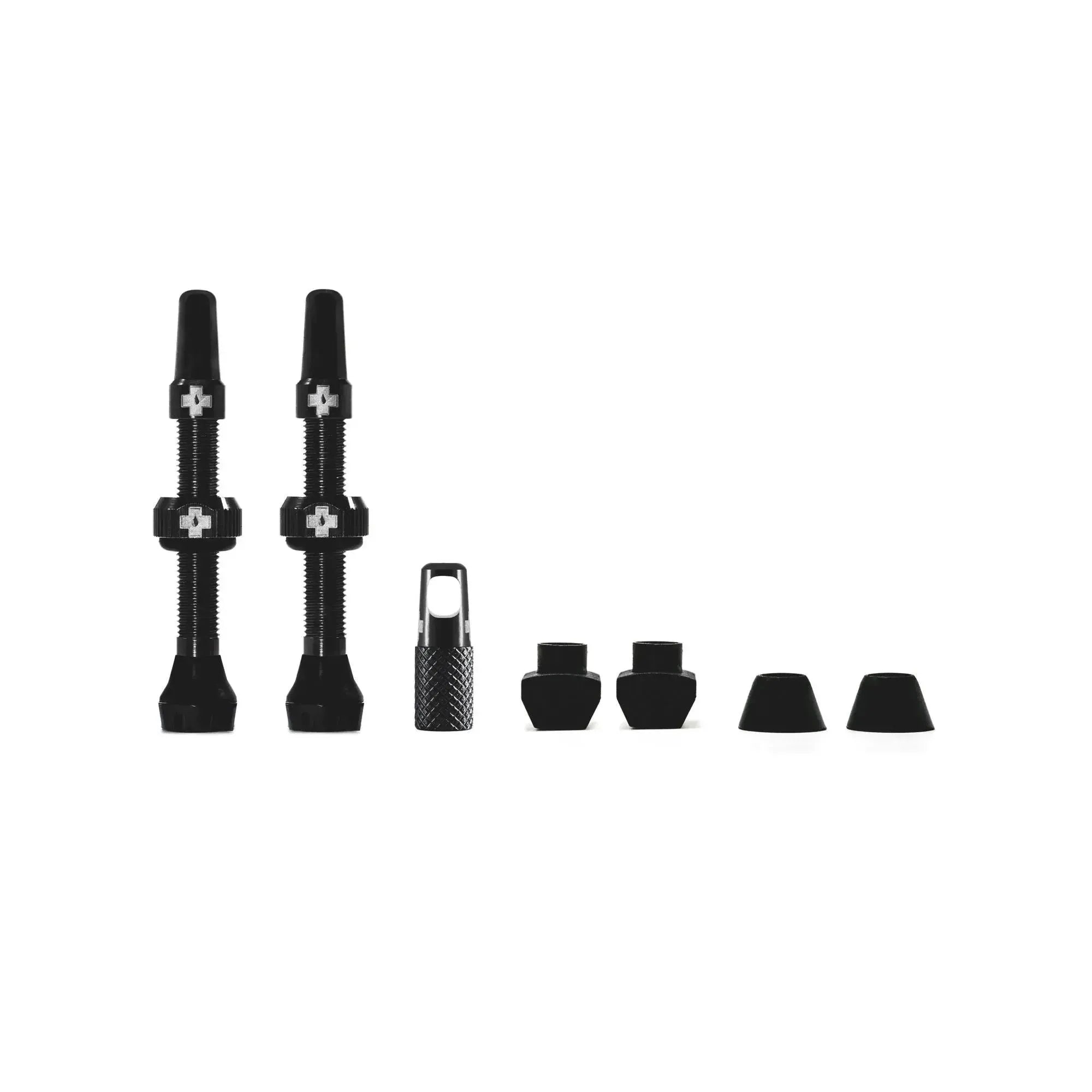 V2 Tubeless Valve Kit