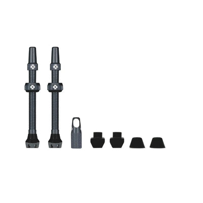 V2 Tubeless Valve Kit