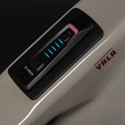 Vala 1 C GX AXS-Kit MX | L